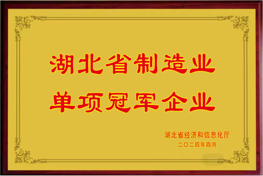 Hubei Province Manufacturing Industry Single Champion 2024